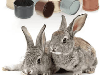 8pcs Stacking Cups For Rabbits, Reusable Multi-Colored Bunny Toys Bunny Cups Reusable Bunny Toys For Rabbits