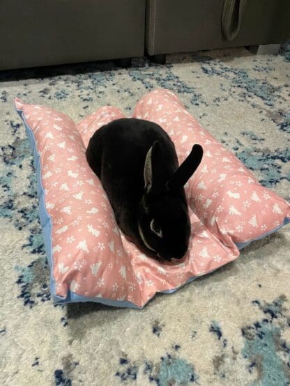 Bunny Flop Bed, Loaf Rabbit Bed, Lounger Bed and Pillow Bed, Cuddle Cushion for Bunny Rabbits. Comes with Ice Tray Pocket for Summer Cooling