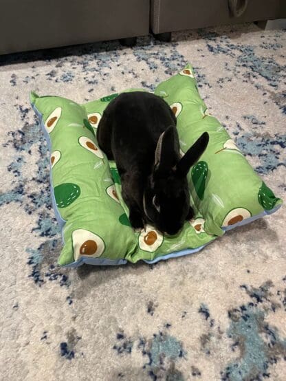 Bunny Flop Bed, Loaf Rabbit Bed, Lounger Bed and Pillow Bed, Cuddle Cushion for Bunny Rabbits. Comes with Ice Tray Pocket for Summer Cooling