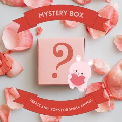 Mystery Box. A Delightful Surprise for You and Your Furry Friend. Good for Bunny, Hamster, Guinea Pig and Chinchilla