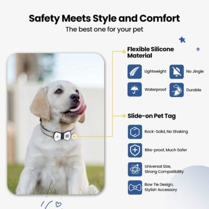 NFC Smart QR Code Pet Label Personalization - Image 2