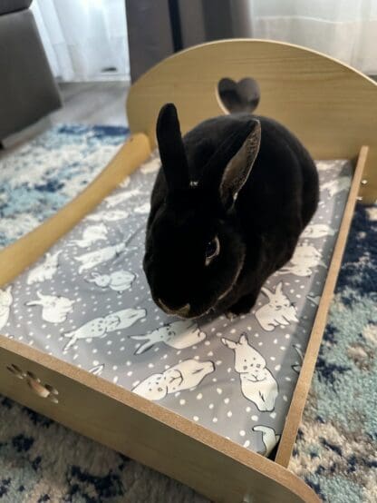 Elevated Rabbits Heart and Footprint Design Wooden Pet Bed with Detachable Portable Parts for Indoor and Outdoor Use